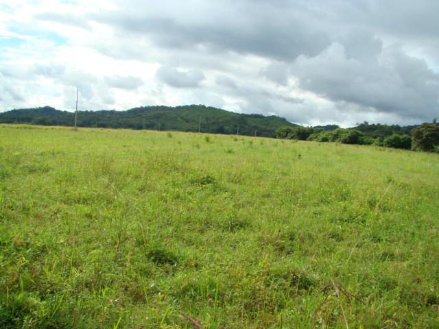 Featured property image