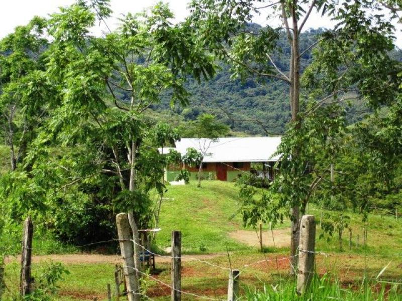 4 bed Business For Sale in Dominical, Puntarenas - 1