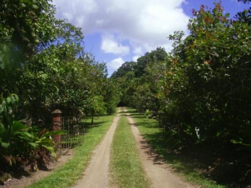 0 bed Land For Sale in Palmar, Puntarenas - 1