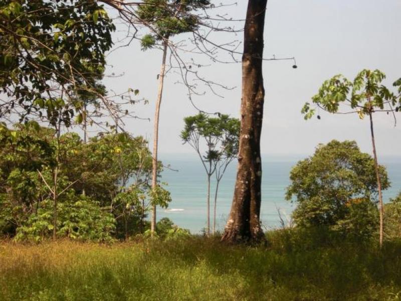 0 bed Land For Sale in Dominical, Puntarenas - 1