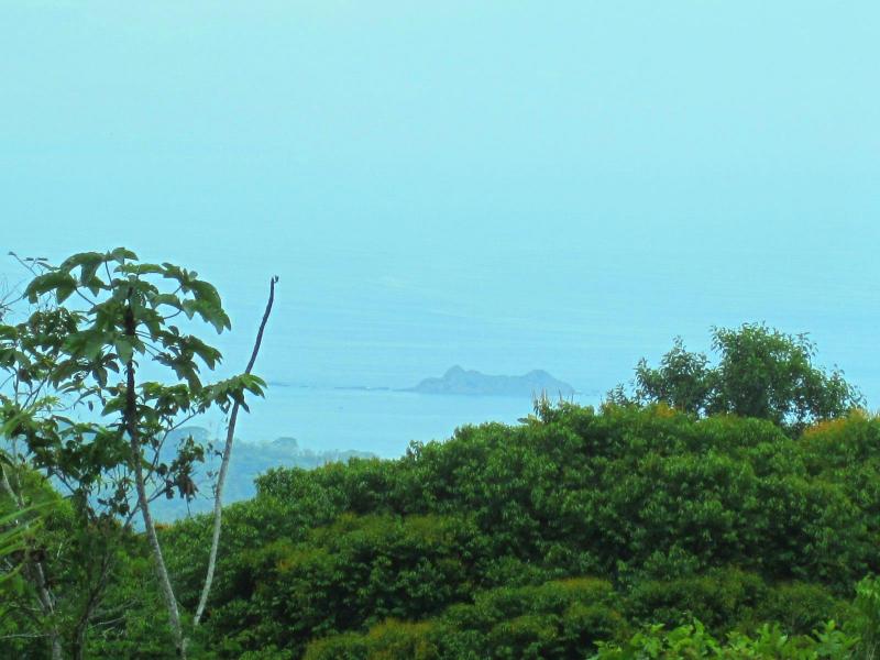 0 bed Land For Sale in Uvita, Puntarenas - 1