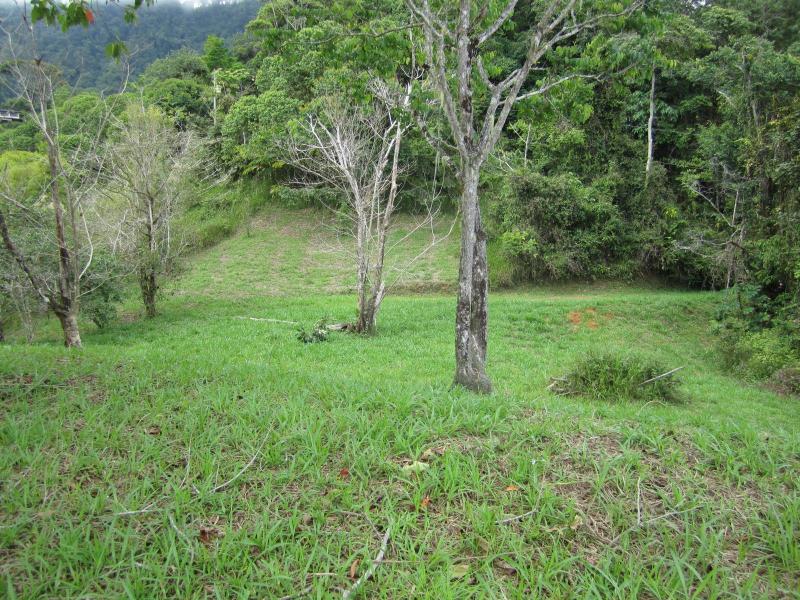 0 bed Land For Sale in Uvita, Puntarenas - 1