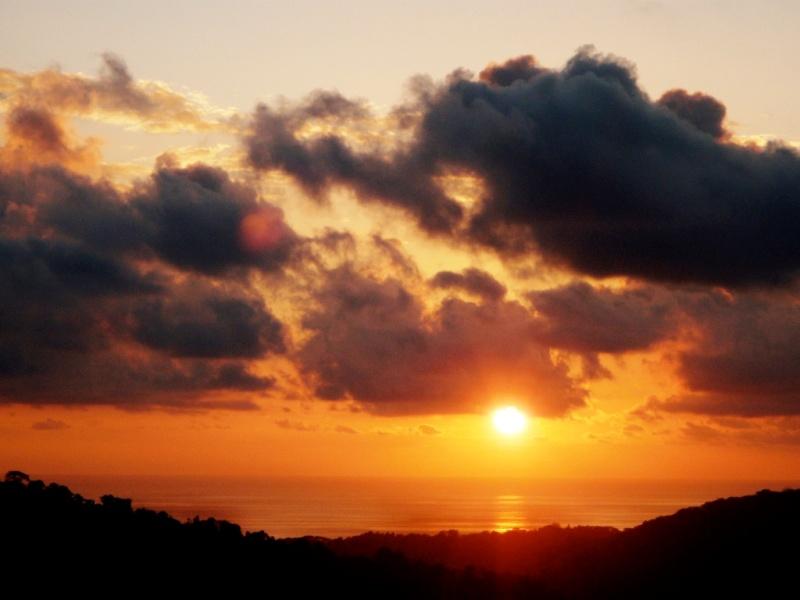 4 bed Single Family Homes For Sale in Dominical, Puntarenas - thumb 2