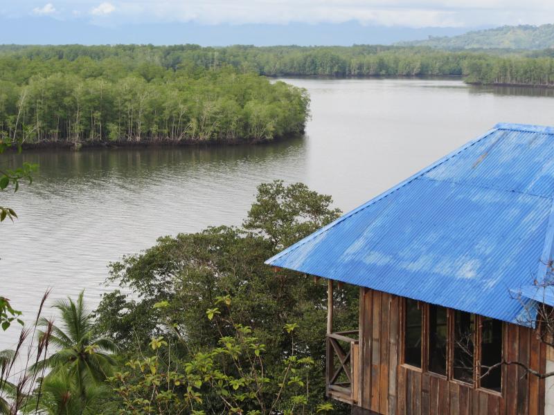 8 bed Land For Sale in Sierpe, Puntarenas - 1