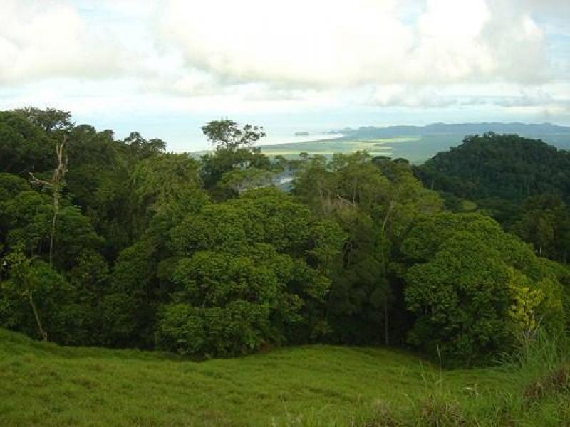 0 bed Land For Sale in Dominical, Puntarenas - thumb 2