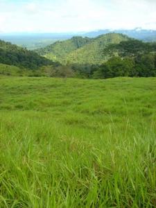 0 bed Land For Sale in Dominical, Puntarenas - thumb 4