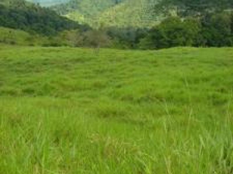 0 bed Land For Sale in Dominical, Puntarenas - thumb 4