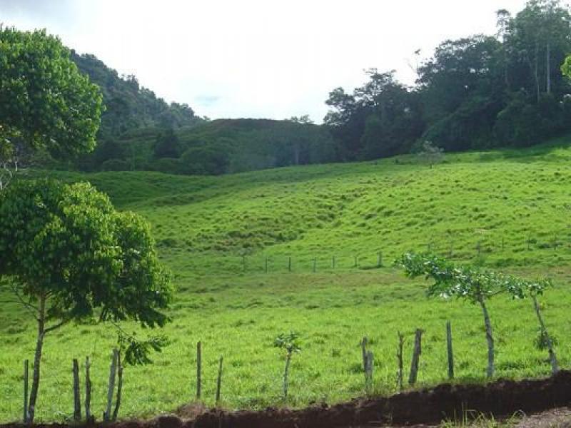 0 bed Land For Sale in Dominical, Puntarenas - thumb 5