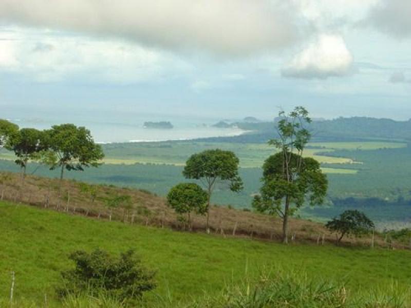 0 bed Land For Sale in Dominical, Puntarenas - thumb 6