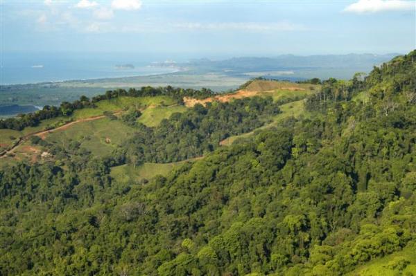0 bed Land For Sale in Dominical, Puntarenas - thumb 7