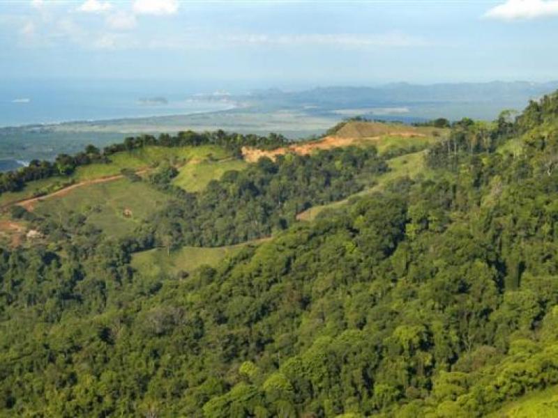 0 bed Land For Sale in Dominical, Puntarenas - thumb 7