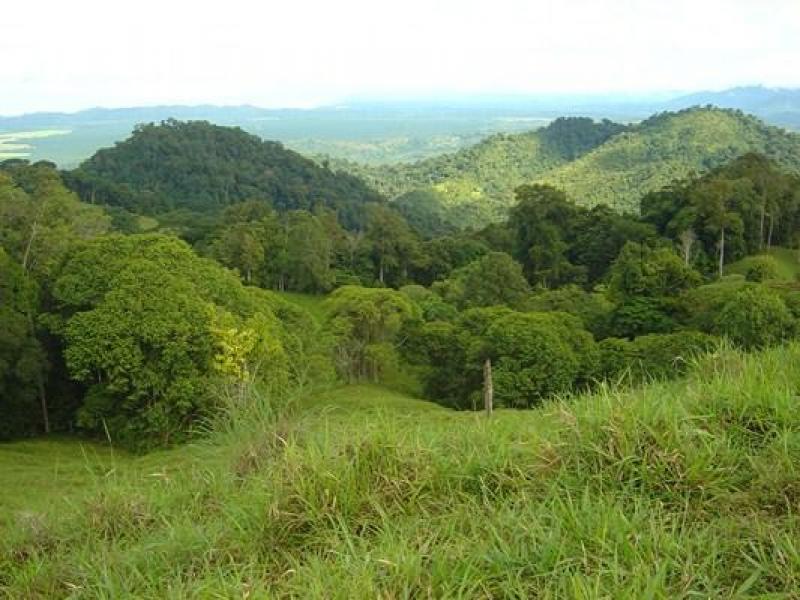 0 bed Land For Sale in Dominical, Puntarenas - thumb 8