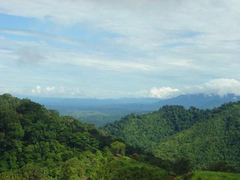 0 bed Developments For Sale in Dominical, Puntarenas - 3