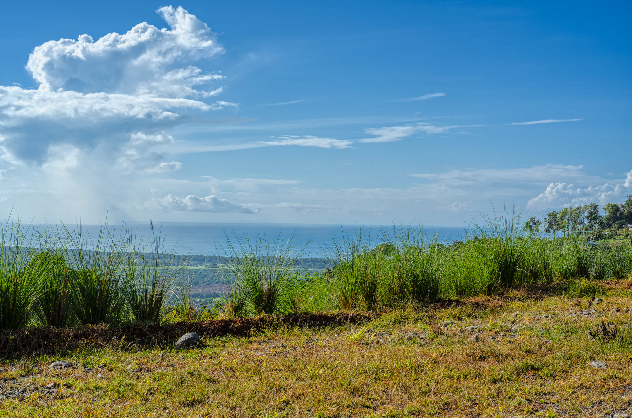 0 bed Communities For Sale in Dominical, Puntarenas - thumb 1