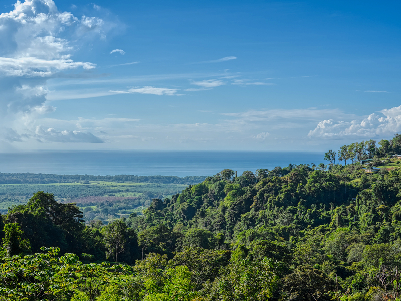 0 bed Communities For Sale in Dominical, Puntarenas - thumb 3