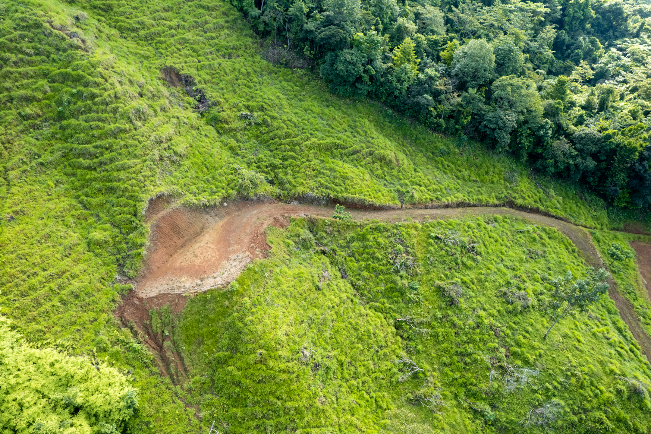 0 bed Communities For Sale in Dominical, Puntarenas - thumb 9