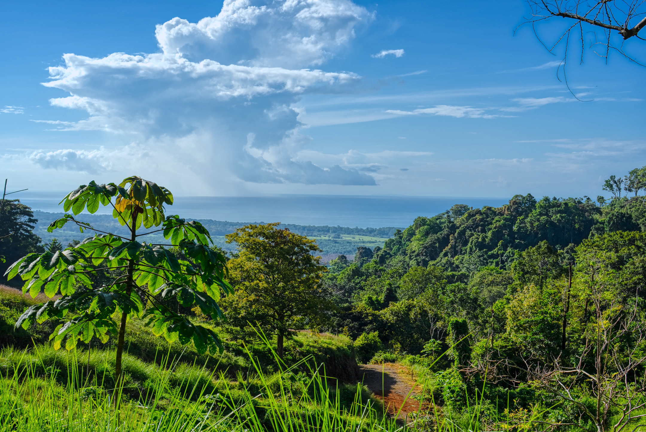 0 bed Communities For Sale in Dominical, Puntarenas - thumb 6