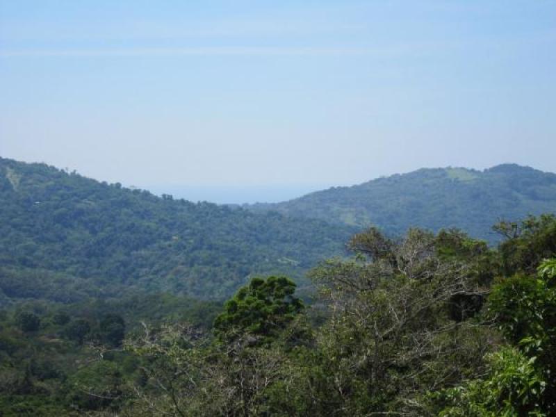 0 bed Land For Sale in Dominical, Puntarenas - 1