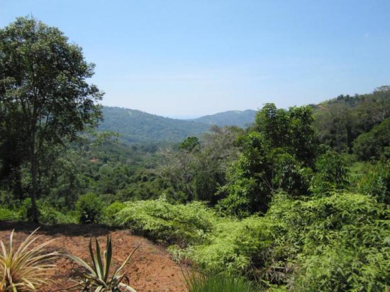 0 bed Land For Sale in Dominical, Puntarenas - 1