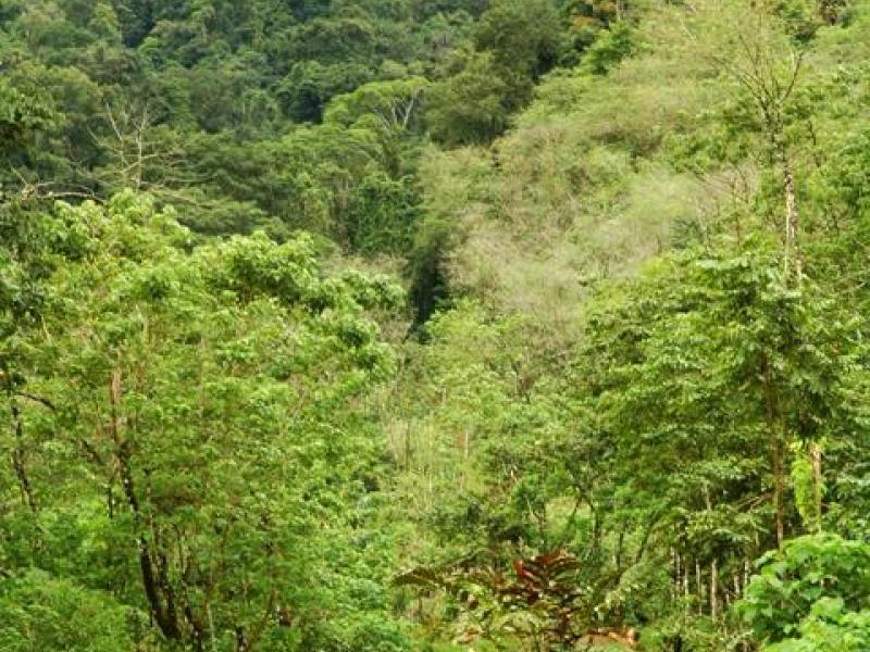 0 bed Land For Sale in Ojochal, Puntarenas - 1