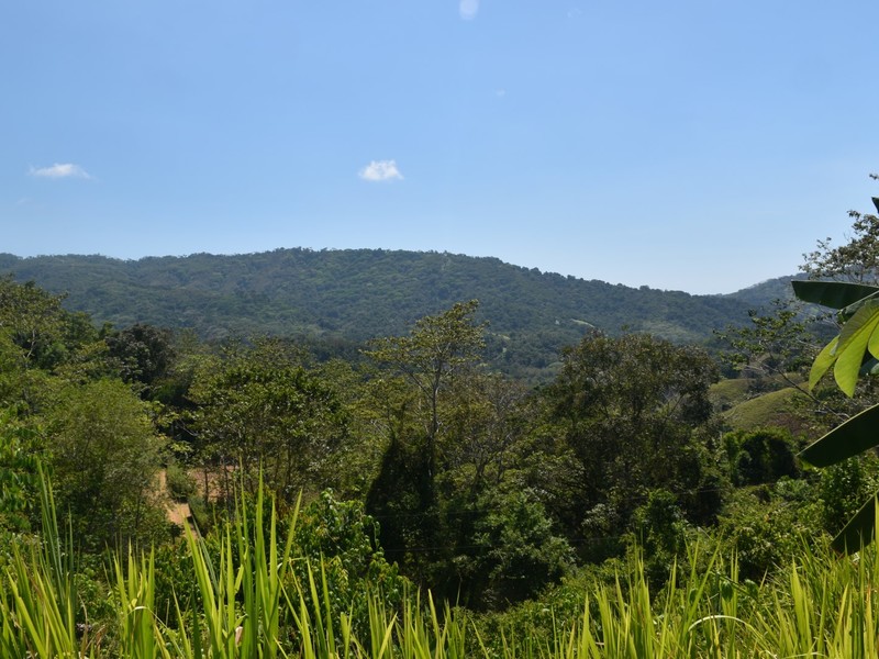 0 bed Communities For Sale in Dominical, Puntarenas - photo 12