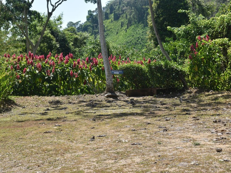 0 bed Communities For Sale in Dominical, Puntarenas - photo 10