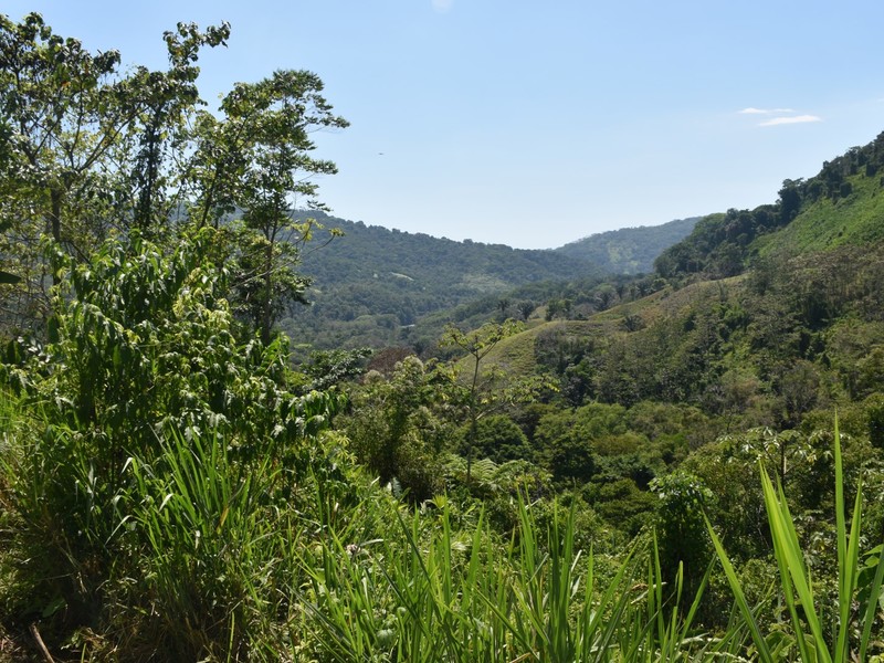 0 bed Communities For Sale in Dominical, Puntarenas - photo 9