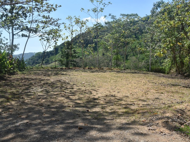 0 bed Developments For Sale in Dominical, Puntarenas - 2
