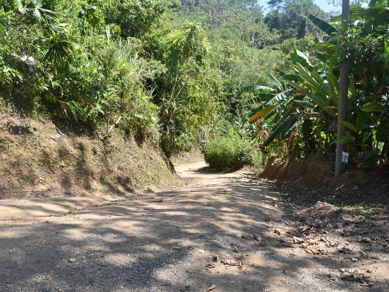 0 bed Communities For Sale in Dominical, Puntarenas - photo 8