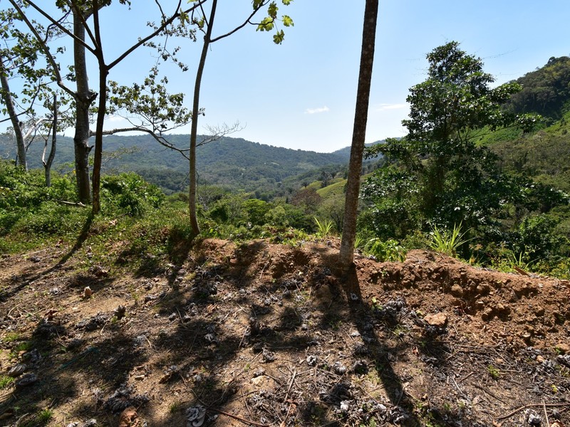0 bed Communities For Sale in Dominical, Puntarenas - photo 7