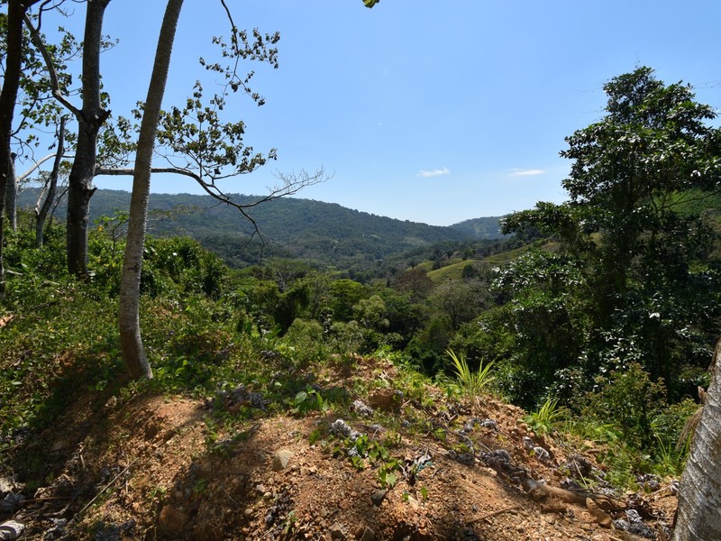 0 bed Communities For Sale in Dominical, Puntarenas - photo 6