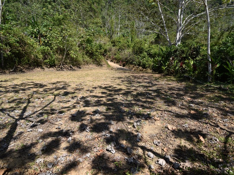 0 bed Communities For Sale in Dominical, Puntarenas - photo 5