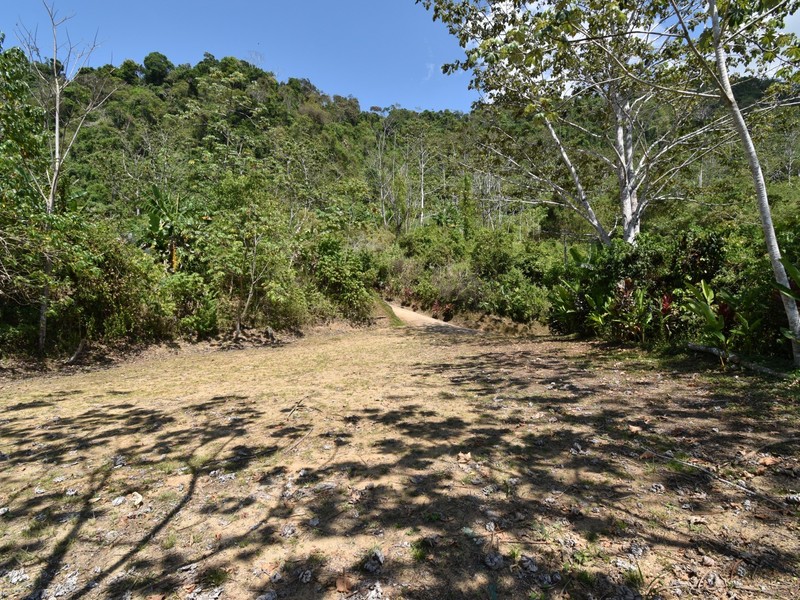 0 bed Communities For Sale in Dominical, Puntarenas - photo 4
