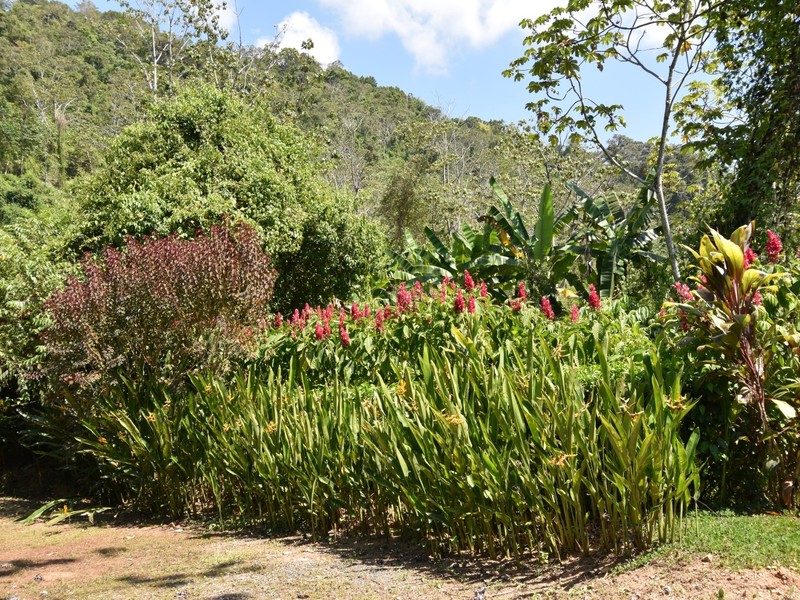 0 bed Communities For Sale in Dominical, Puntarenas - photo 15