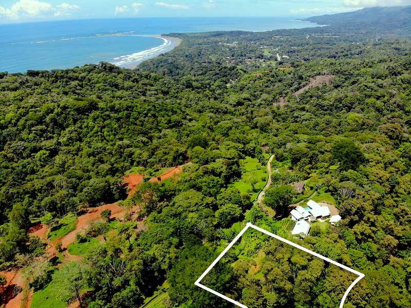 0 bed Land For Sale in Uvita, Puntarenas - 1