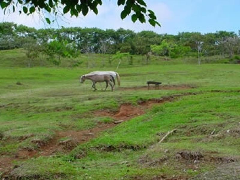 0 bed Land For Sale in Dominical, Puntarenas - thumb 2