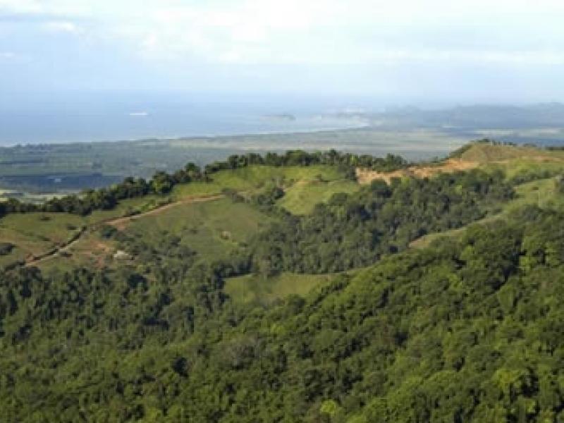 0 bed Land For Sale in Dominical, Puntarenas - thumb 4