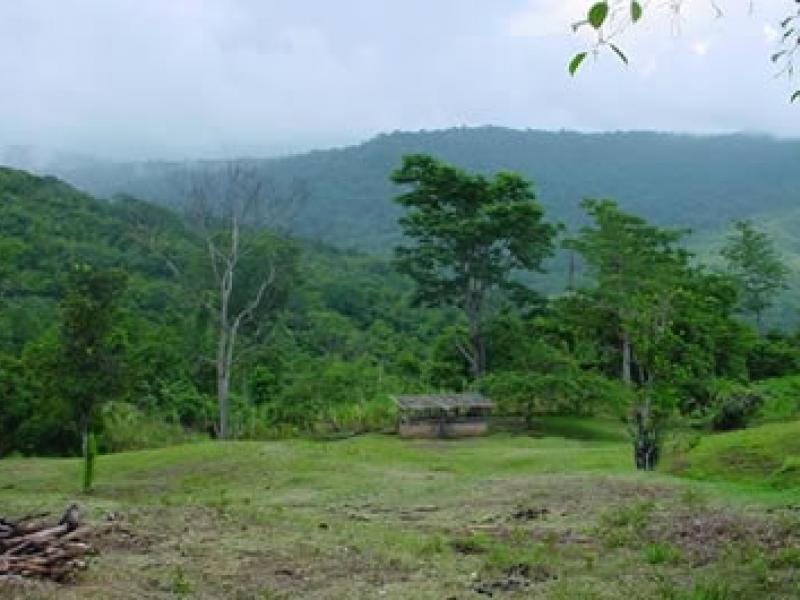 0 bed Land For Sale in Dominical, Puntarenas - thumb 6