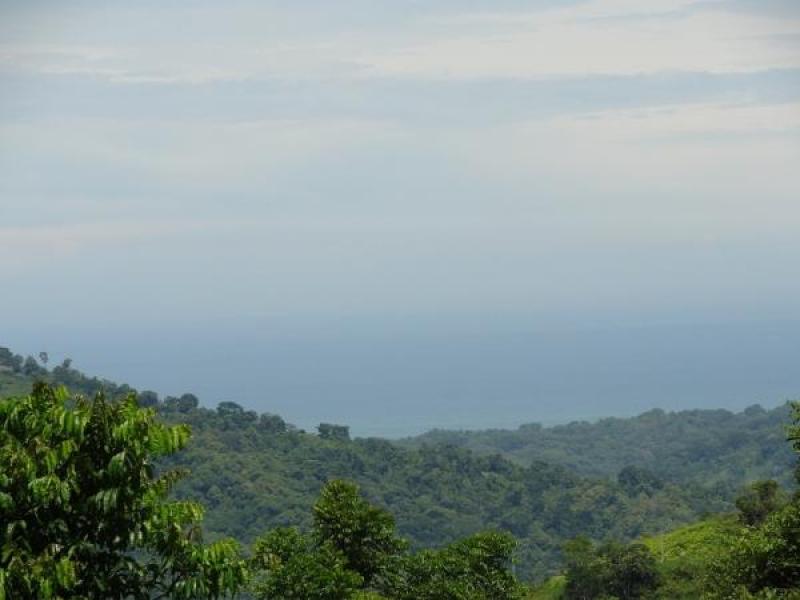 0 bed Land For Sale in Dominical, Puntarenas - 1
