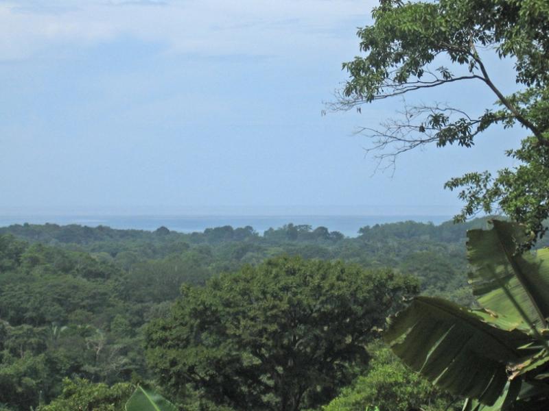 0 bed Land For Sale in Dominical, Puntarenas - 1