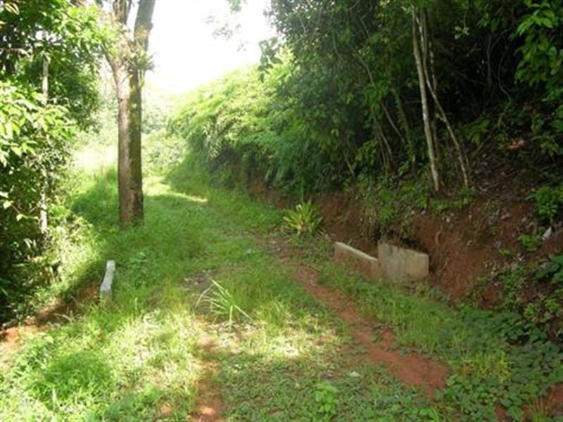 0 bed Land For Sale in Dominical, Puntarenas - thumb 2