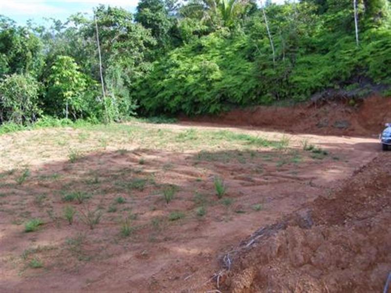 0 bed Land For Sale in Dominical, Puntarenas - thumb 3