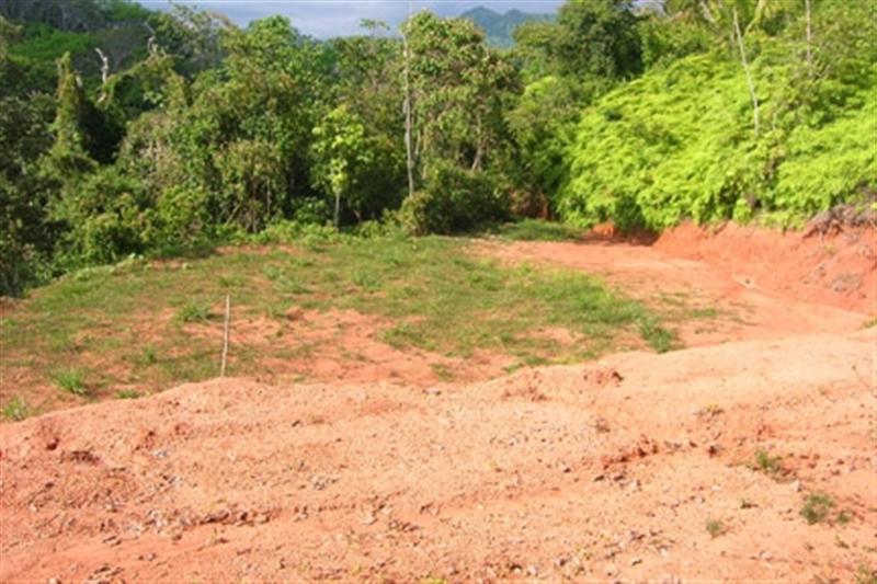 0 bed Land For Sale in Dominical, Puntarenas - thumb 7