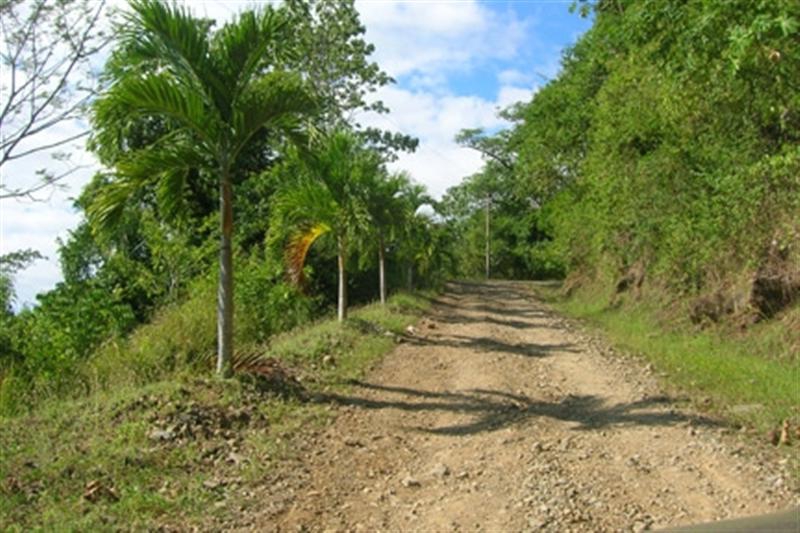 0 bed Land For Sale in Dominical, Puntarenas - thumb 8