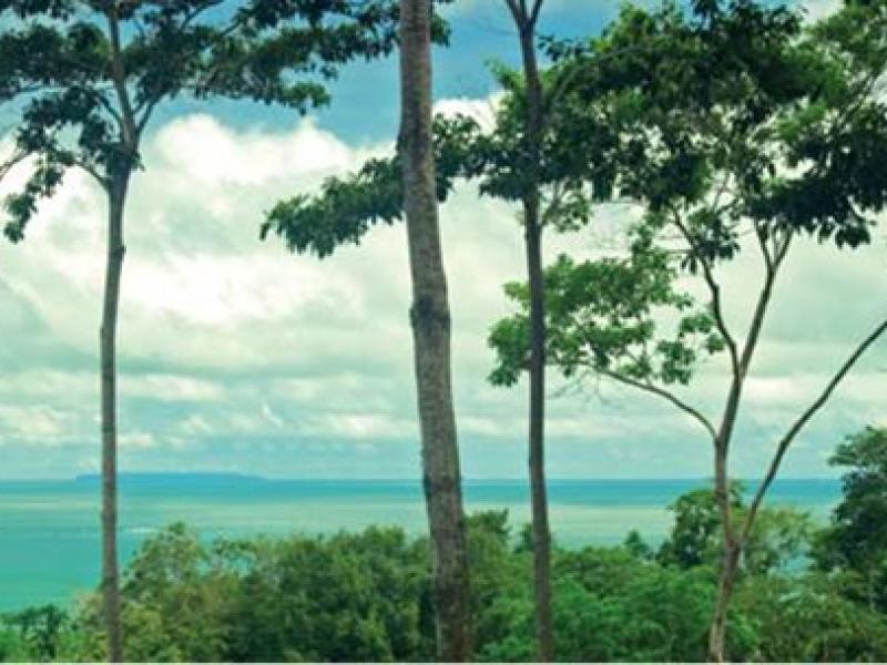 0 bed Land For Sale in Uvita, Puntarenas - 1