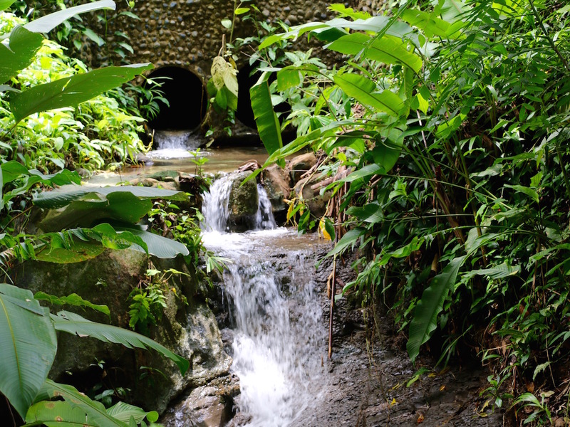 0 bed Land For Sale in Uvita, Puntarenas - 1