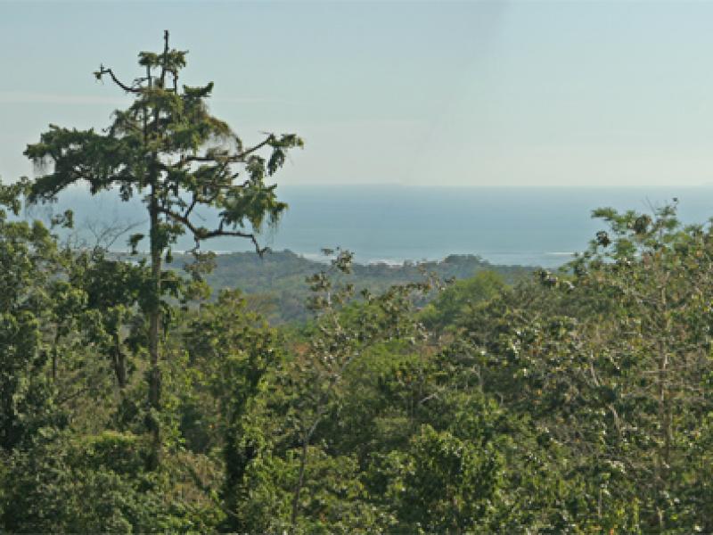 0 bed Land For Sale in Ojochal, Puntarenas - 1