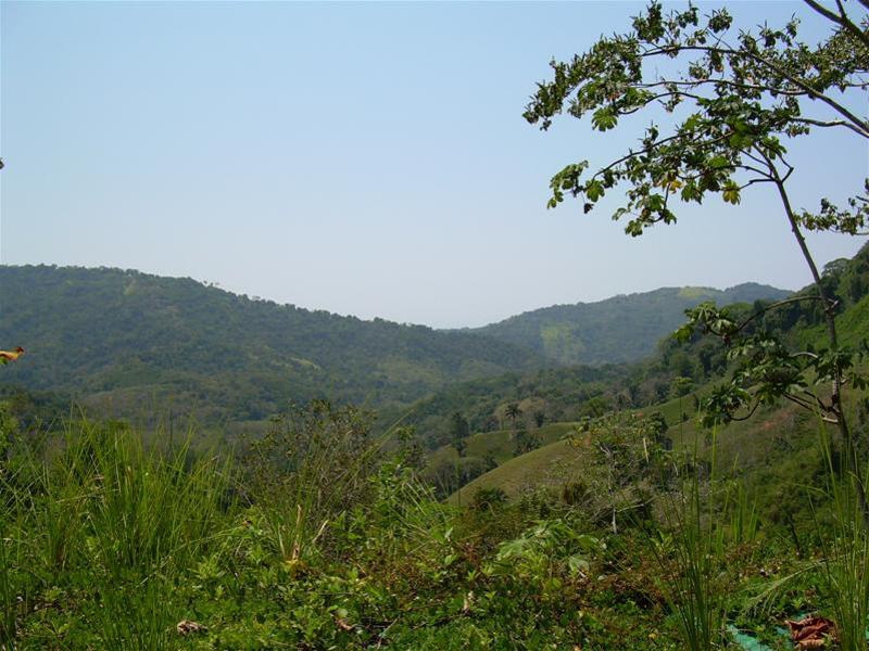 Cascada Azul 1.jpeg