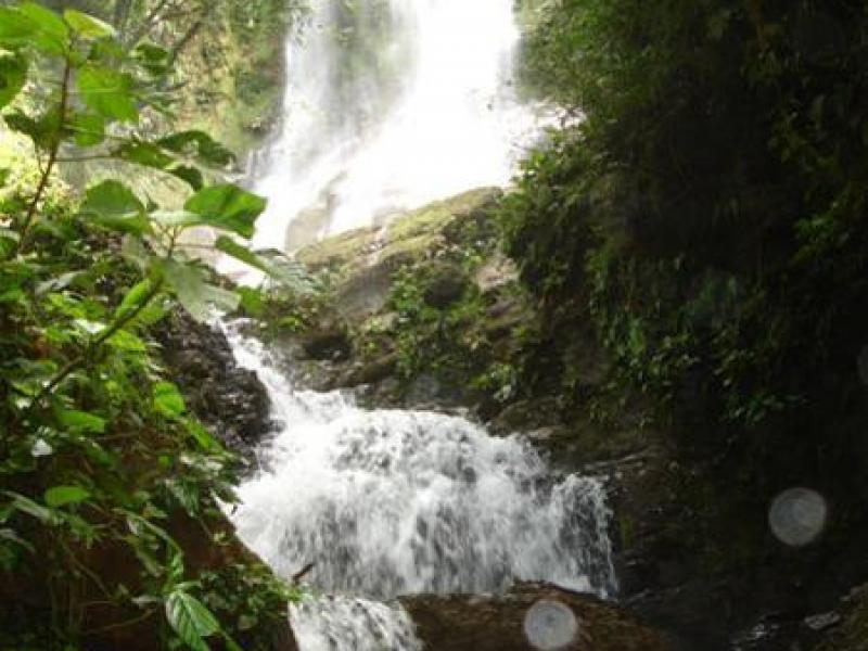 0 bed Land For Sale in Dominical, Puntarenas - 1