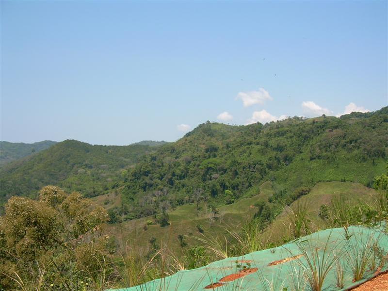 0 bed Land For Sale in Dominical, Puntarenas - 1